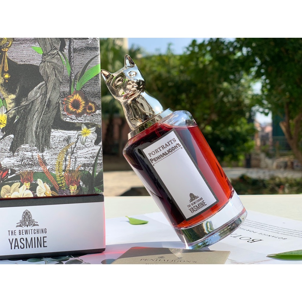 迷人雅絲明（貓）-細節圖3