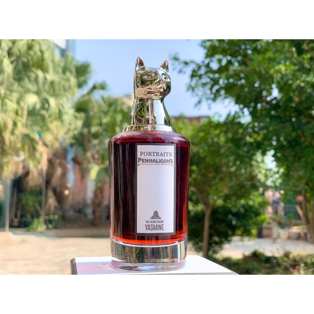 迷人雅絲明（貓）-細節圖4