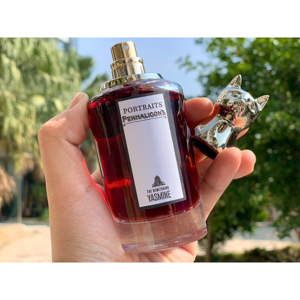 迷人雅絲明（貓）-細節圖5