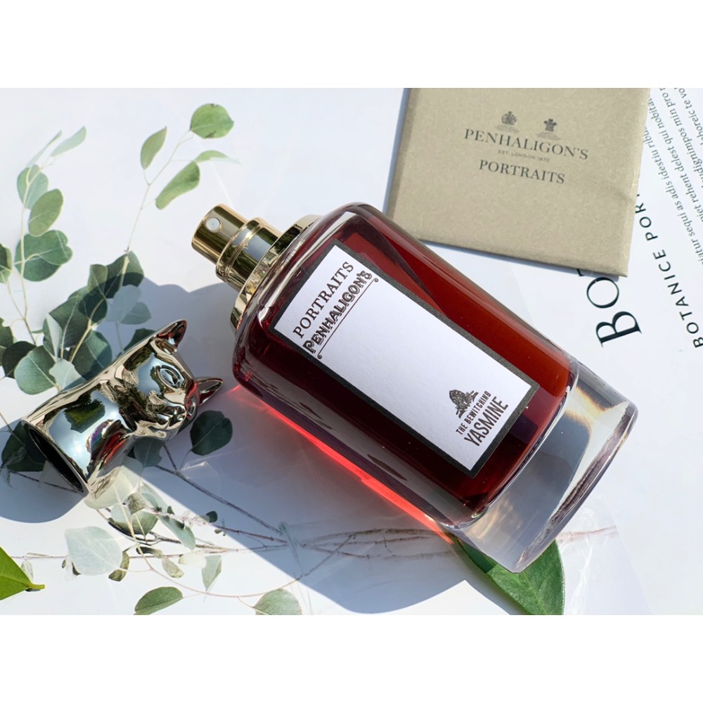 迷人雅絲明（貓）-細節圖6