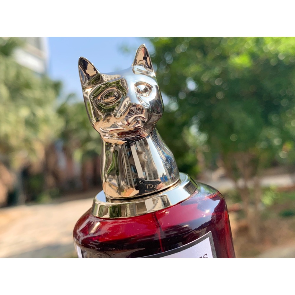 迷人雅絲明（貓）-細節圖8