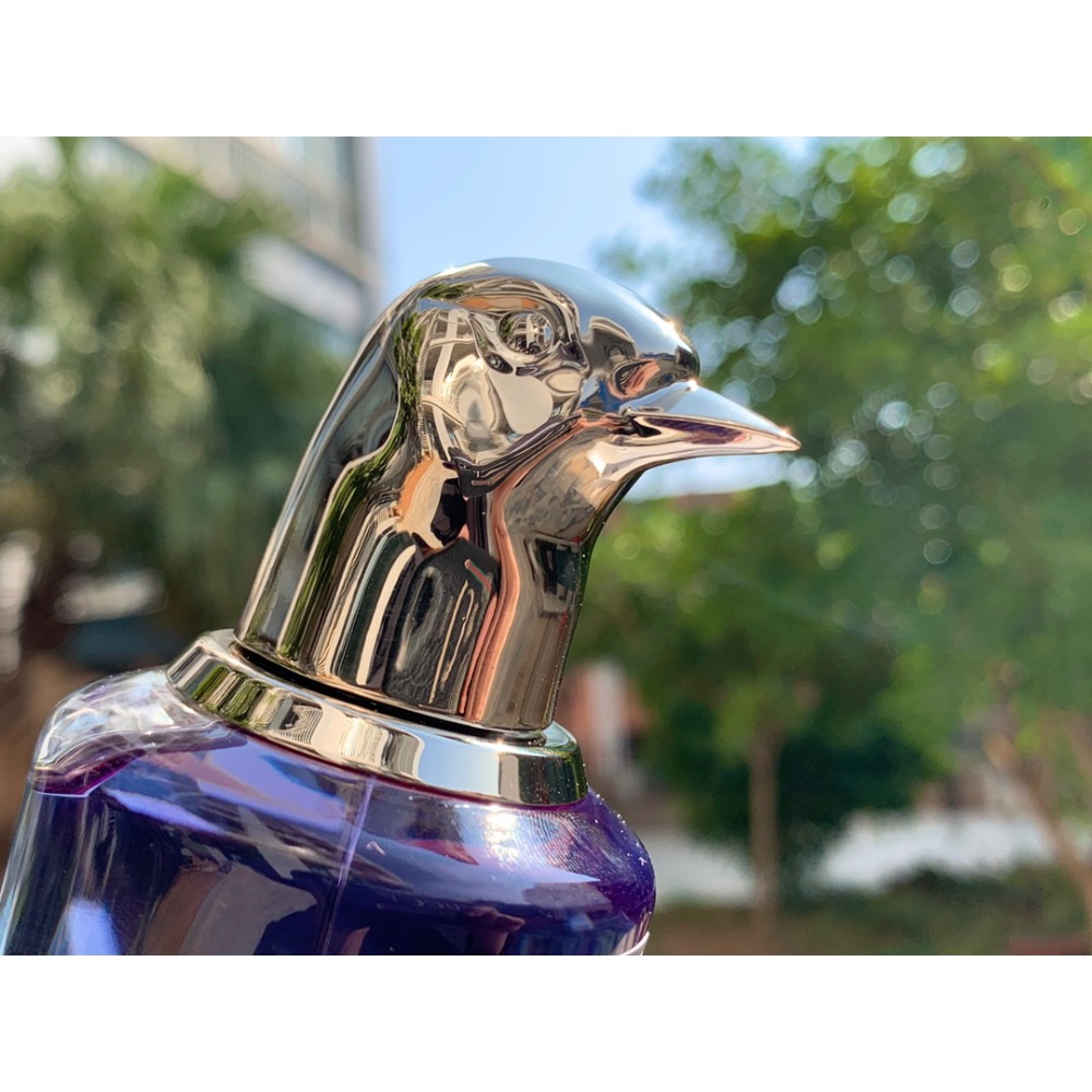 潘海利根（鴿子）-細節圖8