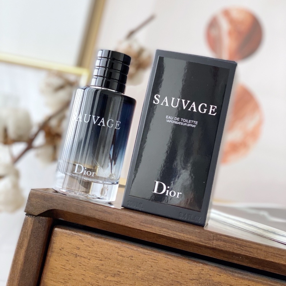 Dior迪奧曠野男士淡香水100ml-細節圖3