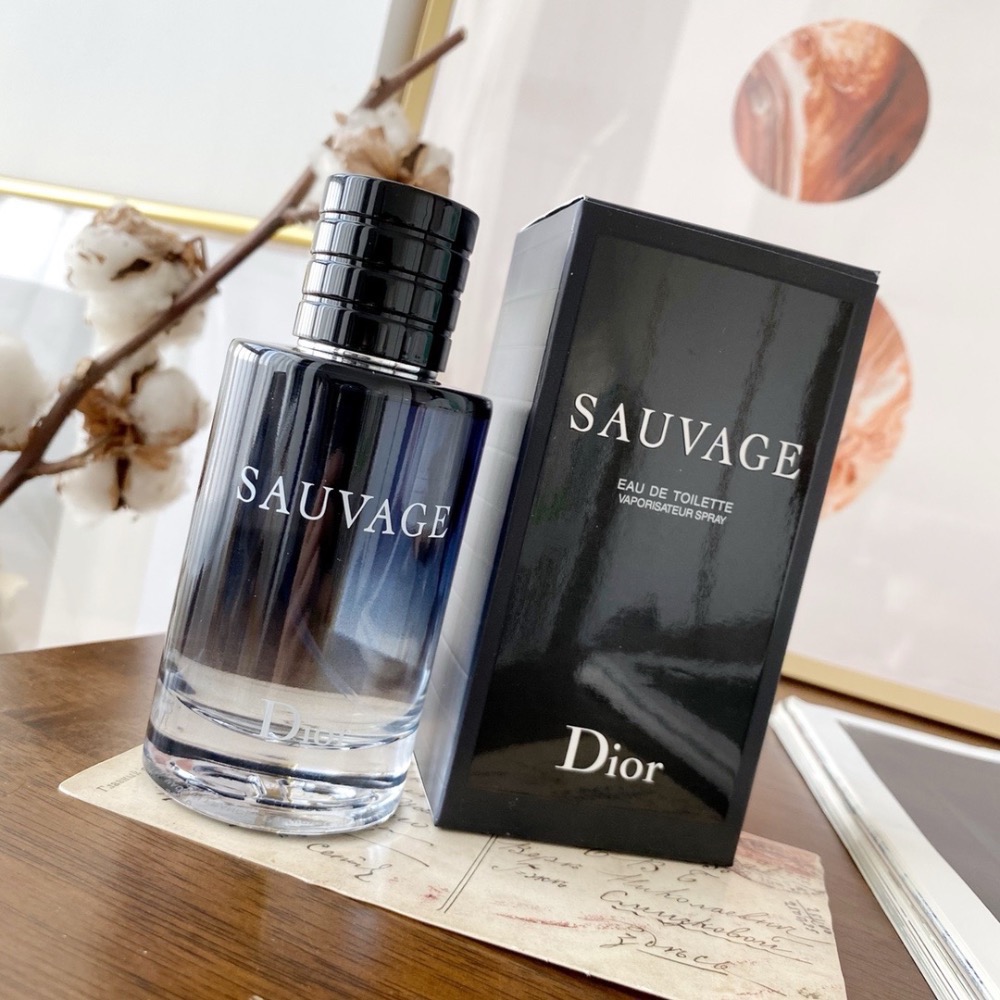 Dior迪奧曠野男士淡香水100ml-細節圖9