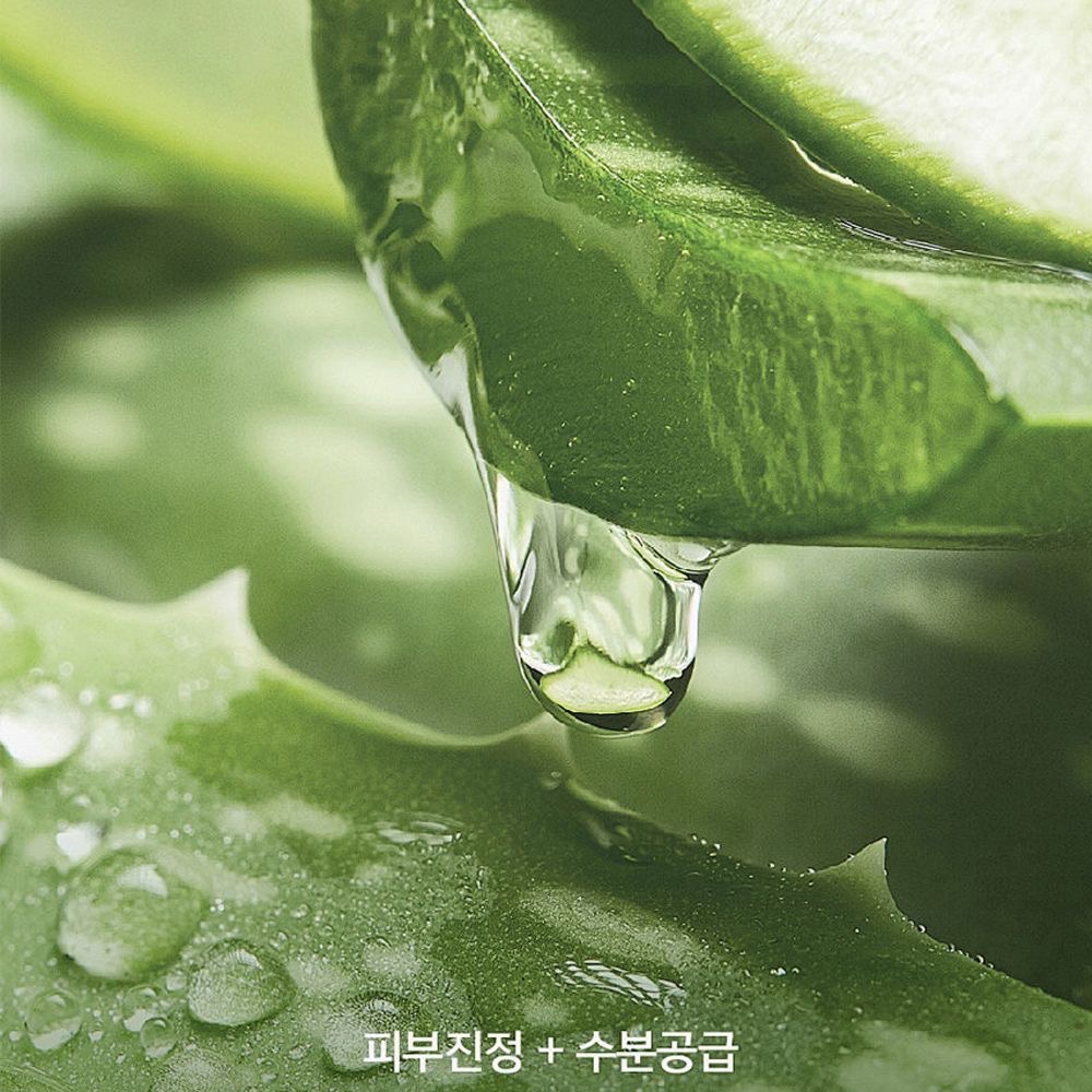 美國Bihevn蘆薈膠原蛋白睡眠面膜霜-細節圖7