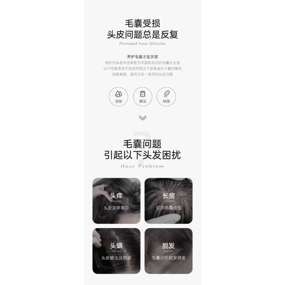 德國🇩🇪蒜氨酸毛囊淨澈洗髮水400ml-細節圖4