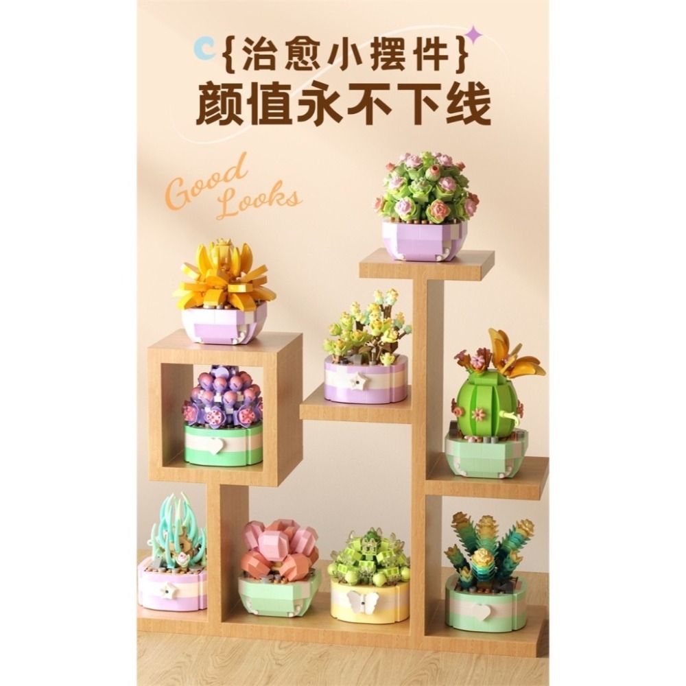 【收納高手】植物盆栽 永生花盆栽 植物積木 微型顆粒 迷你積木 展示架 展示盒 收納盒 療癒小物 療癒積木 迷你積木-細節圖2