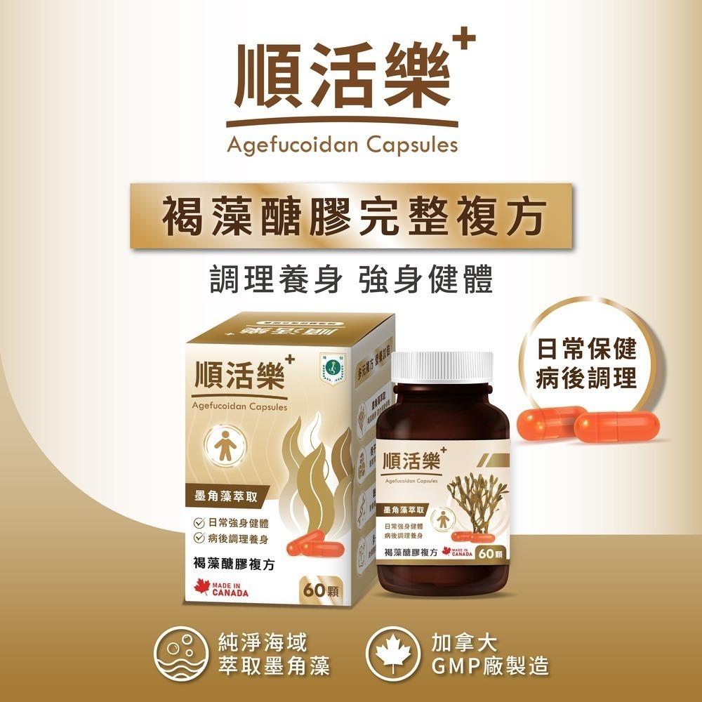 【滋養強化】順活樂PLUS膠囊(60顆) 褐藻醣膠 葡聚醣-細節圖2
