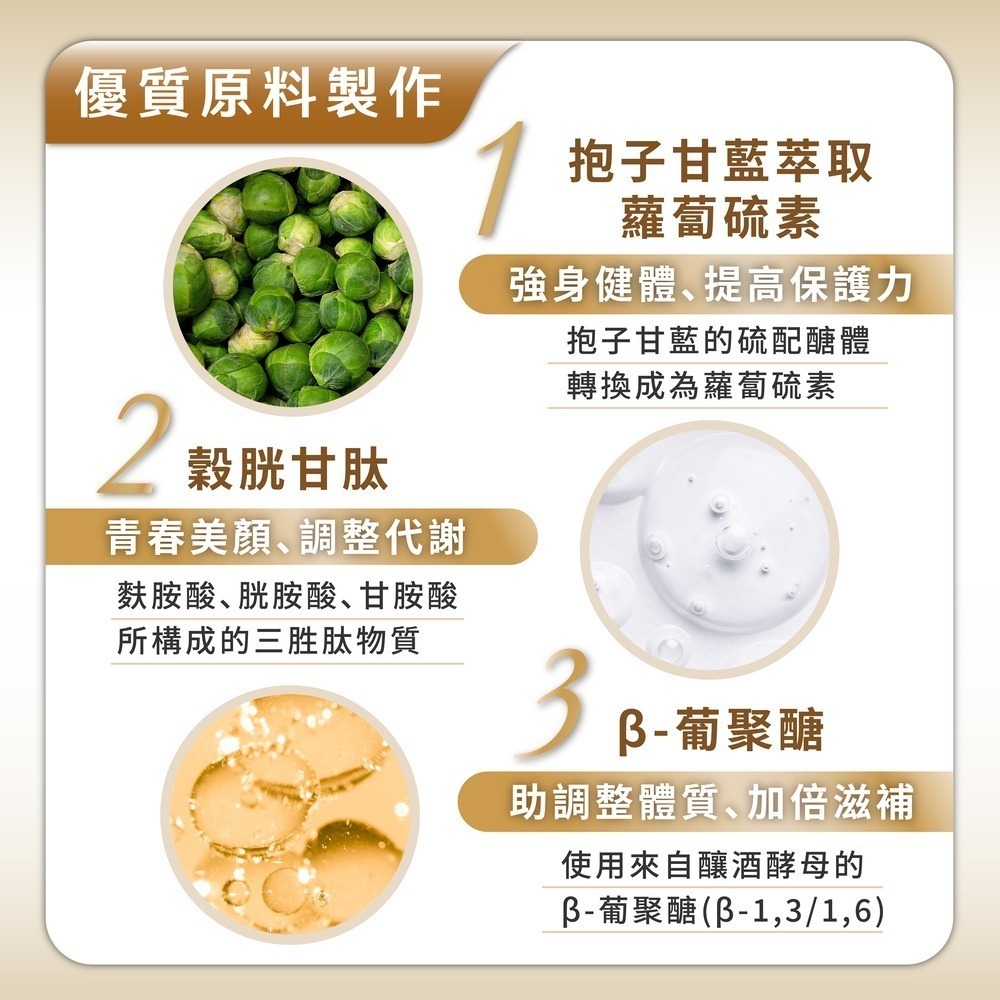 【滋養強化】順活樂PLUS膠囊(60顆) 褐藻醣膠 葡聚醣-細節圖5