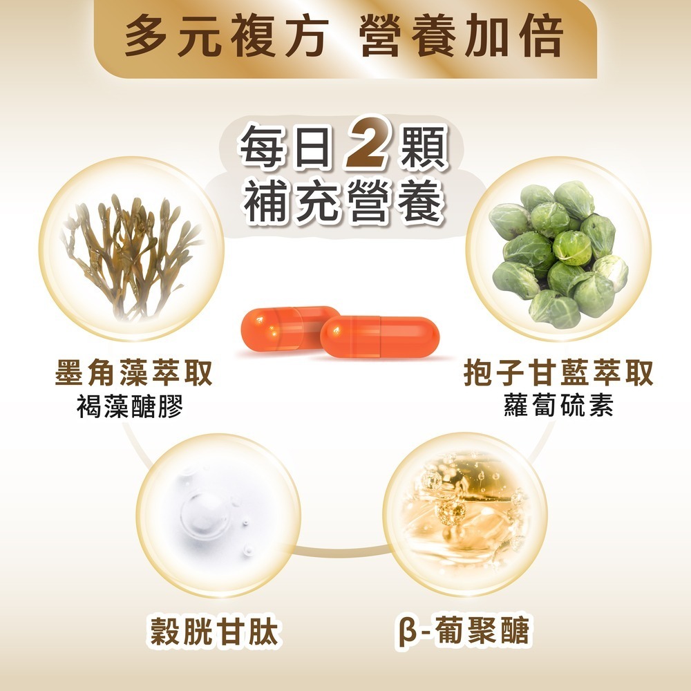 【滋養強化】順活樂PLUS膠囊(60顆)x2 褐藻醣膠 葡聚醣-細節圖3