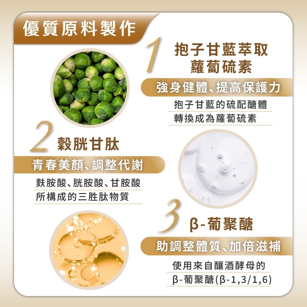 【滋養強化】順活樂PLUS膠囊(60顆)x2 褐藻醣膠 葡聚醣-細節圖4