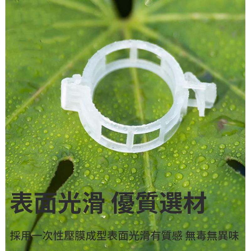 【台灣現貨】植物固定夾 蔬果固定器 枝條夾 園藝夾 園藝造景 快速卡扣 園藝用品 植物夾 菜園蔬菜種植 植物枝條固定 藤-細節圖3