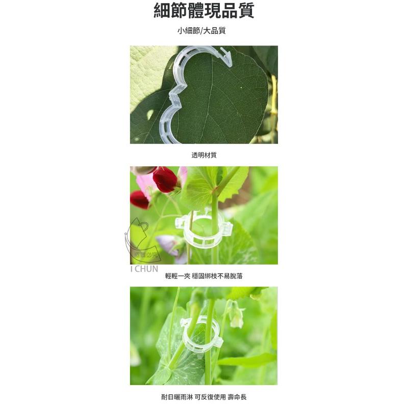 【台灣現貨】植物固定夾 蔬果固定器 枝條夾 園藝夾 園藝造景 快速卡扣 園藝用品 植物夾 菜園蔬菜種植 植物枝條固定 藤-細節圖4