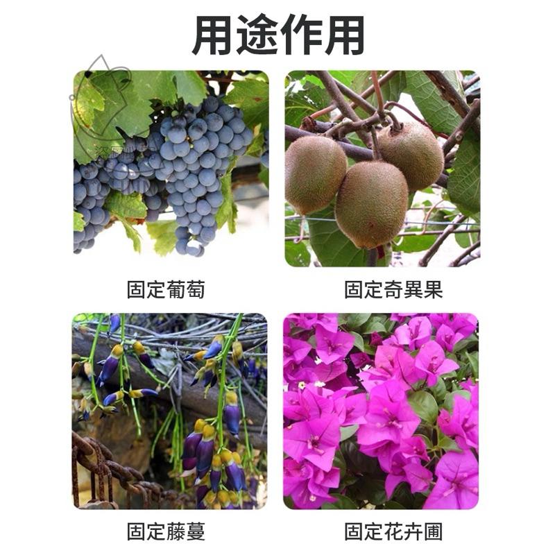 【台灣現貨】植物固定夾 蔬果固定器 枝條夾 園藝夾 園藝造景 快速卡扣 園藝用品 植物夾 菜園蔬菜種植 植物枝條固定 藤-細節圖6