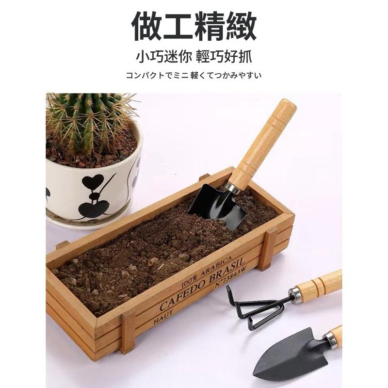 【三件組】園藝工具組 鐵耙 鐵鏟 鐵鍬 換盆栽 多肉植物 栽種 鬆土工具 園藝 種花 迷你園藝工具-細節圖3