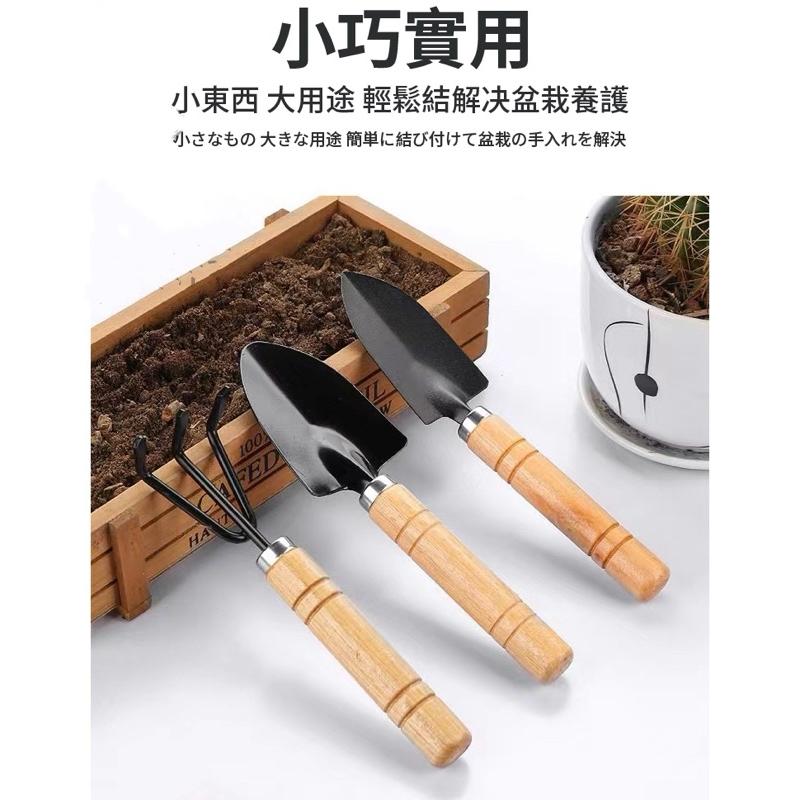 【三件組】園藝工具組 鐵耙 鐵鏟 鐵鍬 換盆栽 多肉植物 栽種 鬆土工具 園藝 種花 迷你園藝工具-細節圖5