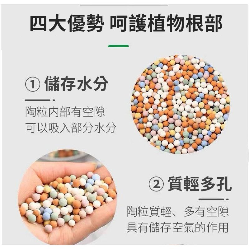 【台灣現貨】彩色陶粒 陶粒 陶碳球 彩色鋪面 水耕栽培介質 陶炭土 盆栽鋪面 無土栽培 植栽陶粒 花盆 多肉石 多肉土-細節圖4