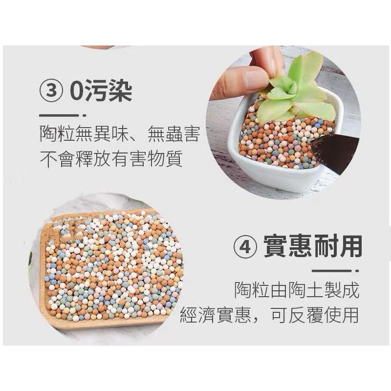 【台灣現貨】彩色陶粒 陶粒 陶碳球 彩色鋪面 水耕栽培介質 陶炭土 盆栽鋪面 無土栽培 植栽陶粒 花盆 多肉石 多肉土-細節圖5