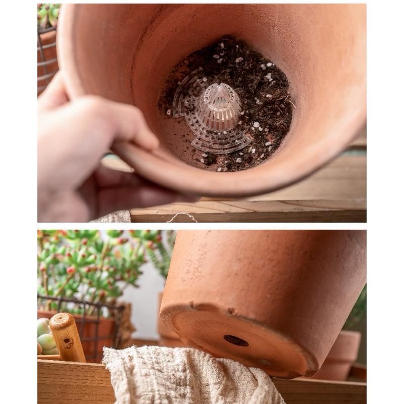 【台灣現貨】錐形排水墊片 盆栽透氣墊片 瀝水墊片 花盆墊片 透氣防爛根 盆栽濾網-細節圖3