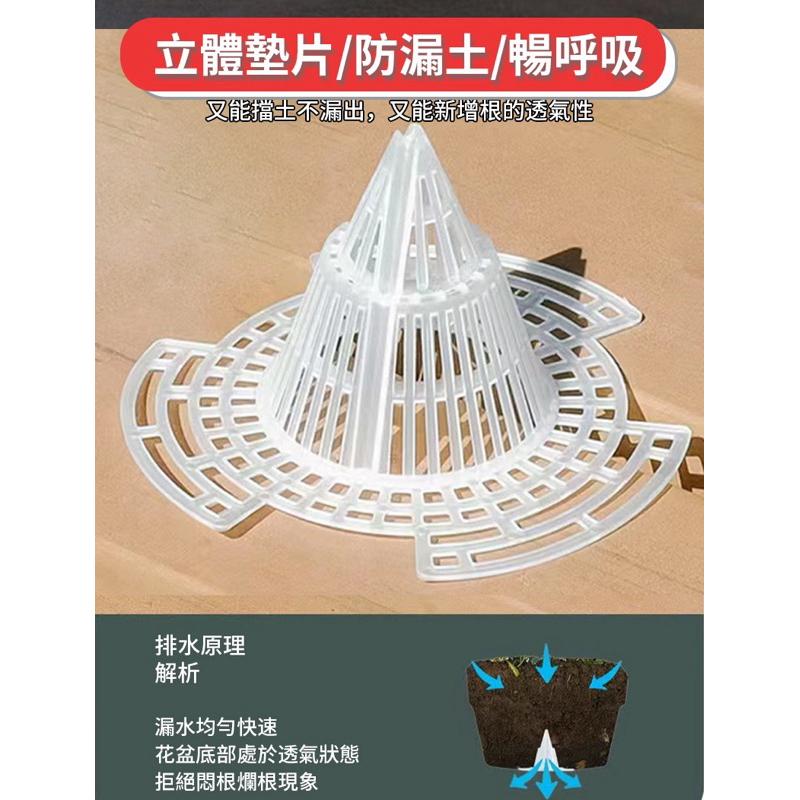 【台灣現貨】錐形排水墊片 盆栽透氣墊片 瀝水墊片 花盆墊片 透氣防爛根 盆栽濾網-細節圖5