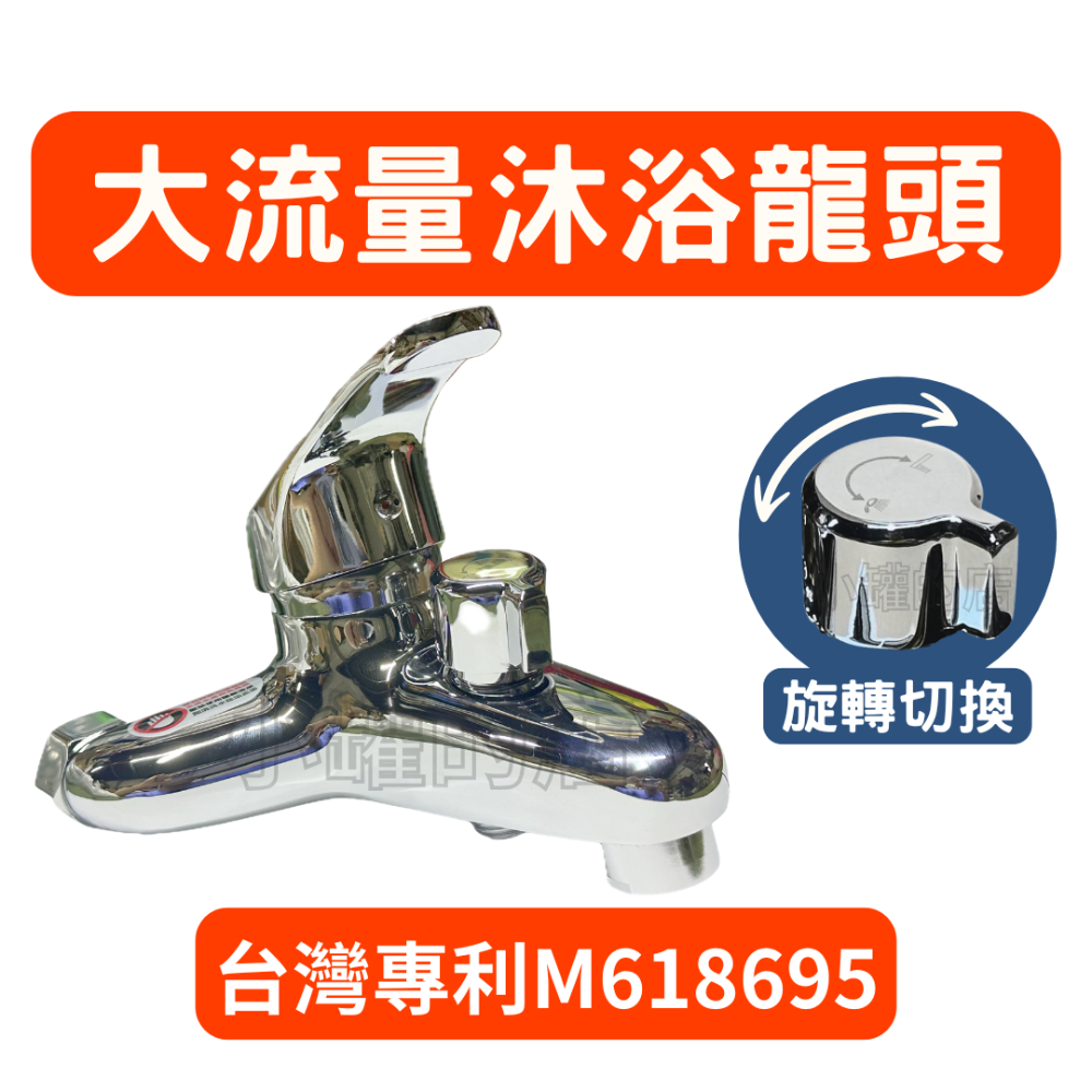 單一主體