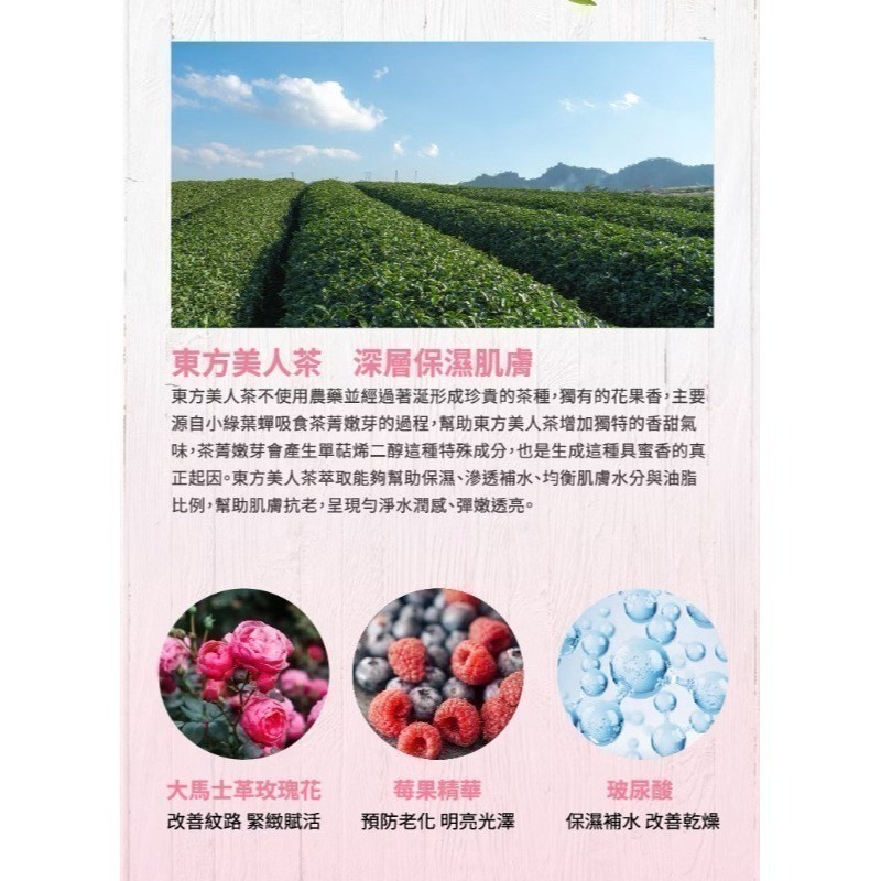 [團購商品] 氧顏森活 玫瑰美人茶多酚保濕水凝霜(50g)-細節圖3