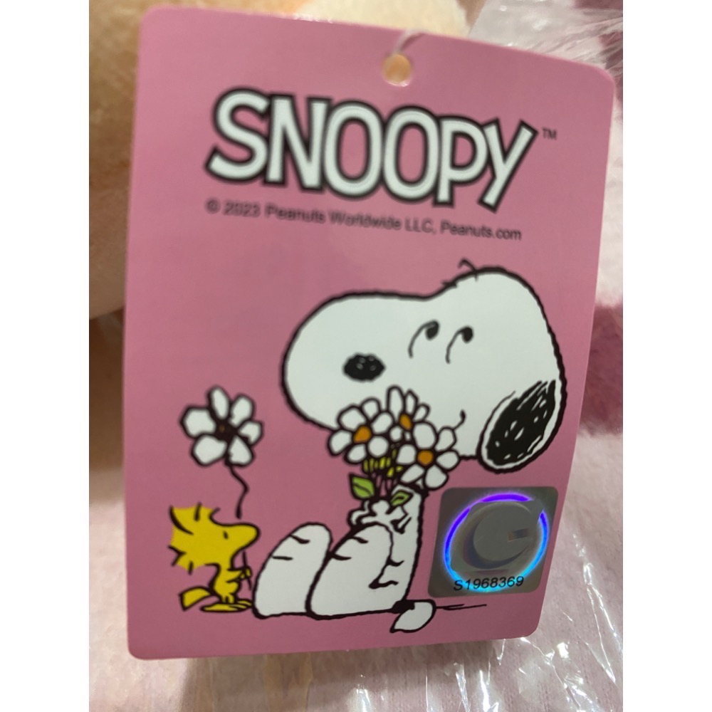 查理娃娃玩偶～正版全新❤️-細節圖2