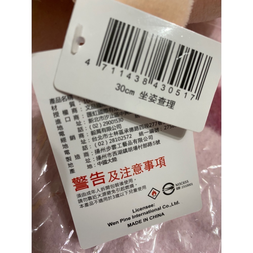 查理娃娃玩偶～正版全新❤️-細節圖3