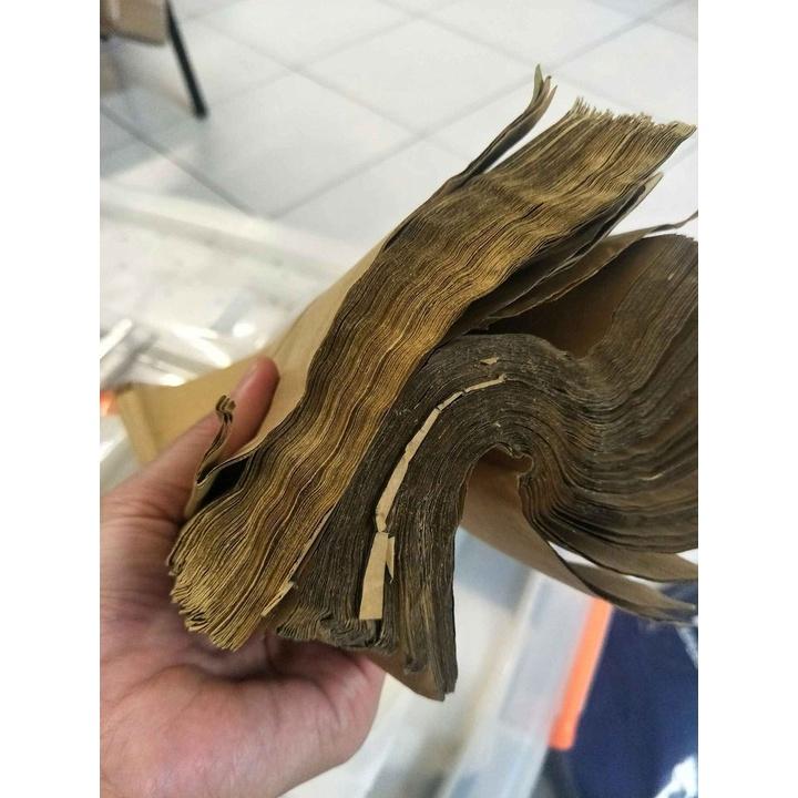 水果蔬菜套袋保護袋紙包袋全部如圖片一起賣-細節圖2