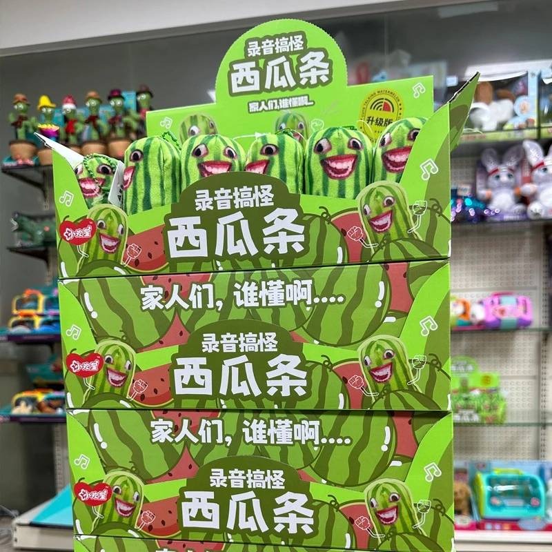 錄音西瓜條 家人們誰懂啊 整骨搞笑 醜萌西瓜 趣味吊飾 搞怪錄音 西瓜條搞怪小掛件-細節圖3