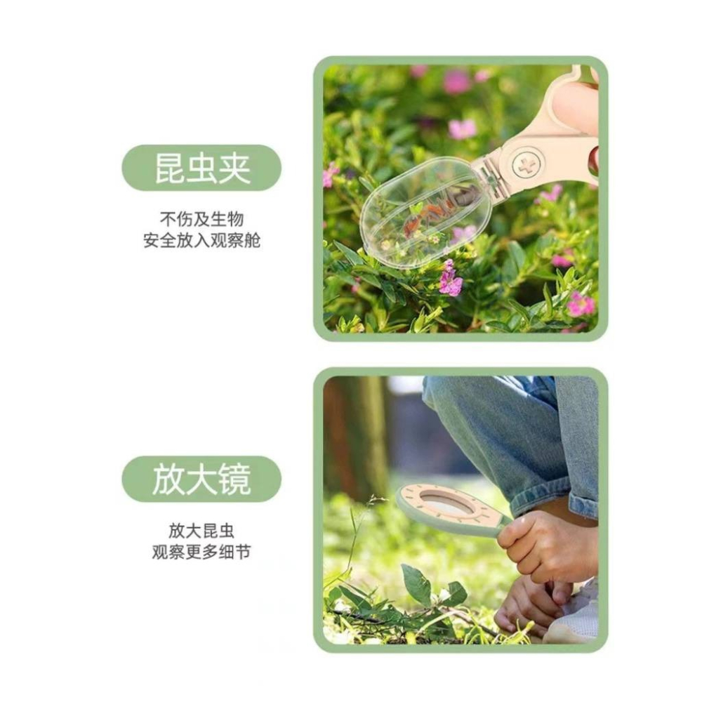 兒童探險套裝 戶外探索 昆蟲觀察盒 植物昆蟲戶外探險套裝兒童認知玩具放大鏡 戶外探索抓蟲觀察玩具-細節圖7