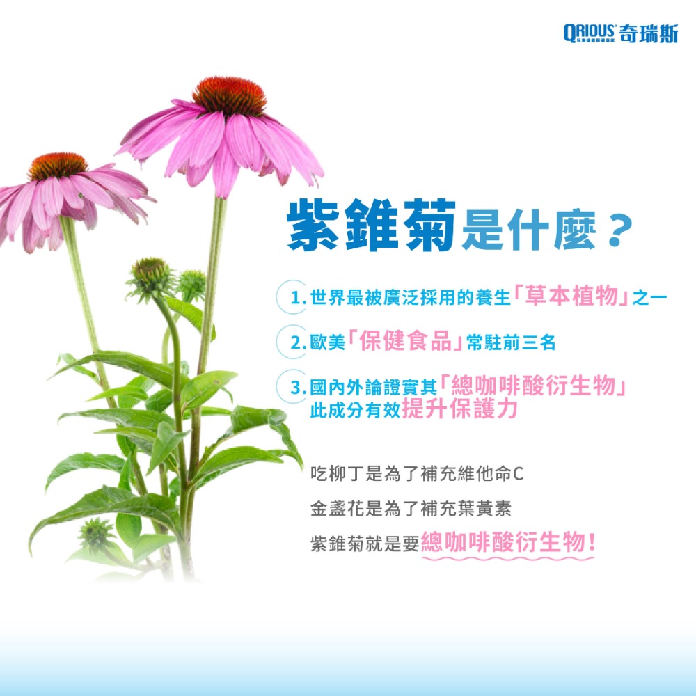 奇瑞斯 KK刻舒口腔噴霧 口腔不適舒緩 日常保養用 兒童口腔噴霧 成人口腔噴霧 水蜜桃口腔防護噴霧-細節圖5