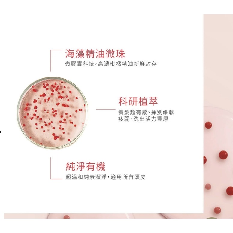 法萊耶 René Furterer TONUCIA 瓔珞木泉能髮浴 200mL-細節圖2