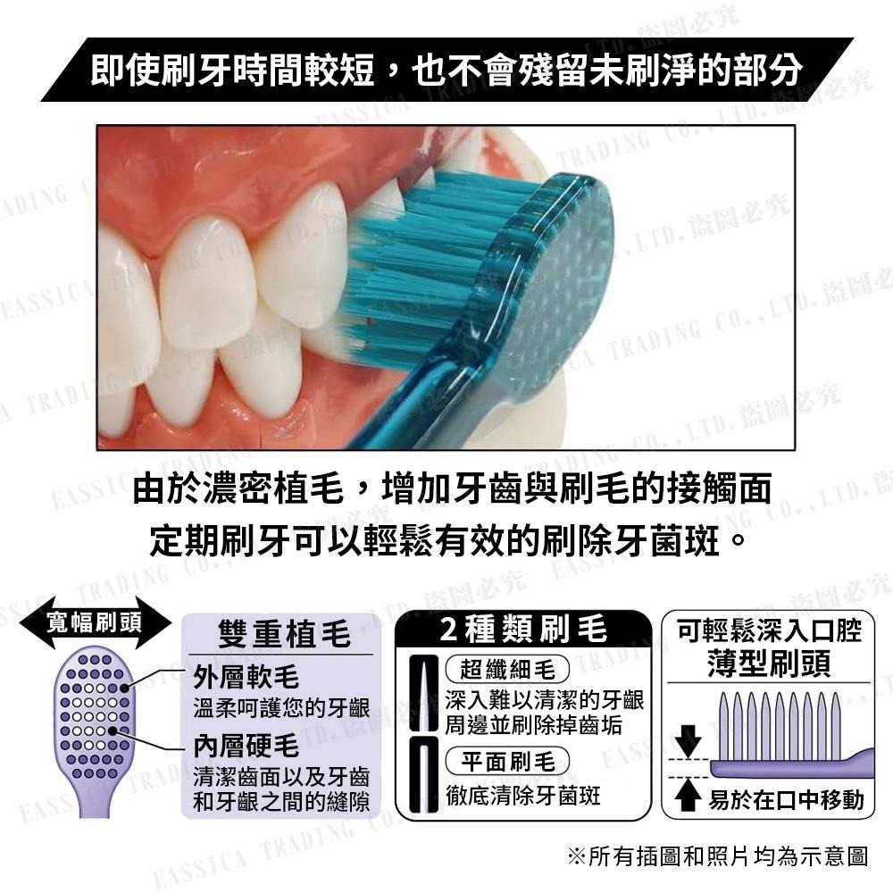 EBiSU 省時潔淨 寬幅牙刷 普通毛 中刷頭 隨機色-細節圖4