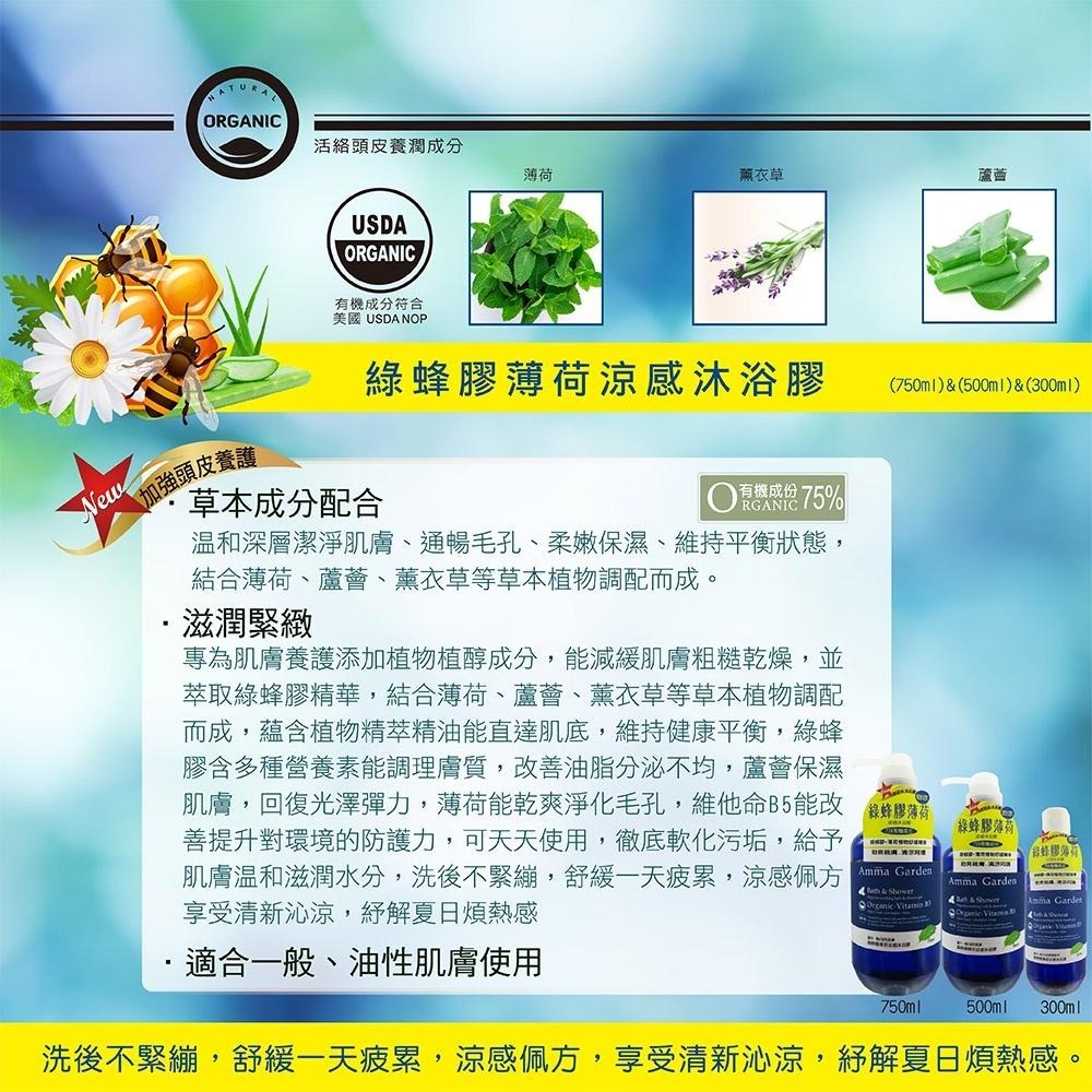 艾瑪花園 Amma garden 植物系列洗髮精  沐浴精 液態皂 護髮精華油 多款任選-細節圖2