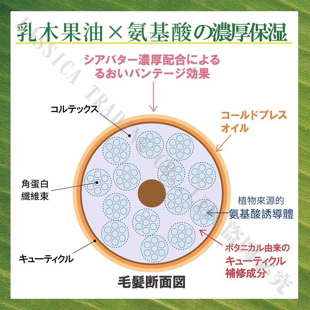 日本 KOSE 高絲 BIOLISS 苾歐莉絲 植萃 乳油木洗髮精 480ml 潤髮乳 護髮霜 純素友善配方-細節圖5