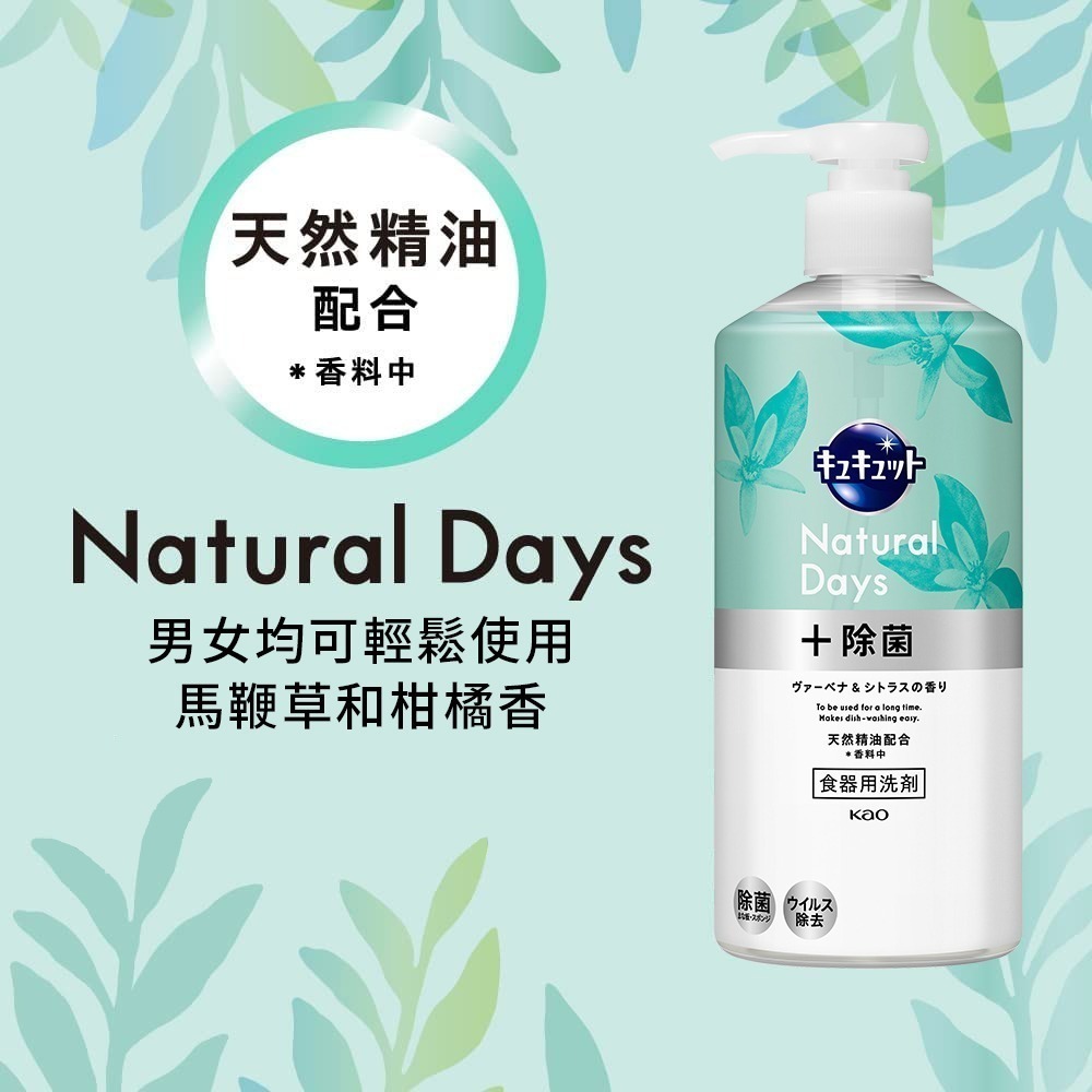 日本 Kao 花王 洗碗精 清潔 去油 按壓式 中性 低刺激 抑菌速淨 480ml 多款任選-細節圖7