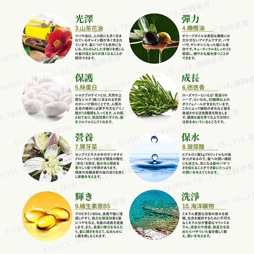 日本 KUMANO 熊野油脂 草本植物萃取 植物精油 頭皮護裡 洗髮 潤髮 二合一 700ml-細節圖4