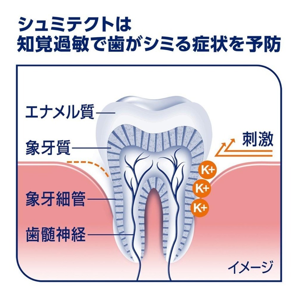 日本境內 舒酸定 Sensodyne 牙周病/抗敏感/日常護理牙膏-90g-細節圖4