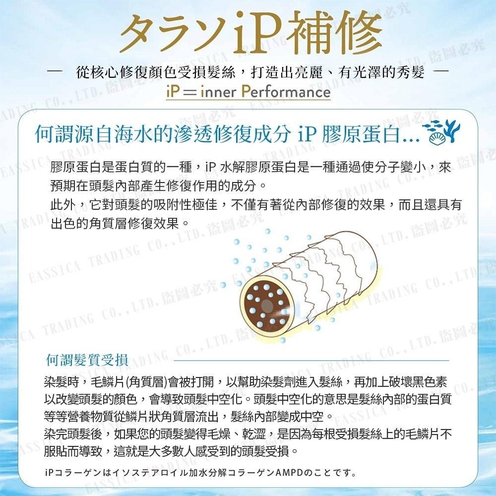 日本  KOSE 高絲 Je laime 爵戀 膠原蛋白修護 美容液 無矽靈 胺基酸洗髮精/潤髮乳 480ml-細節圖3