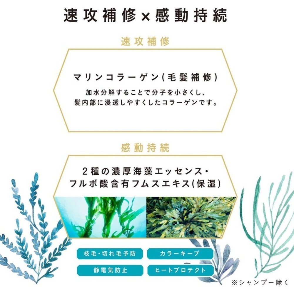 日本  KOSE 高絲 Je laime 爵戀 膠原蛋白修護 美容液 無矽靈 胺基酸洗髮精/潤髮乳 480ml-細節圖7