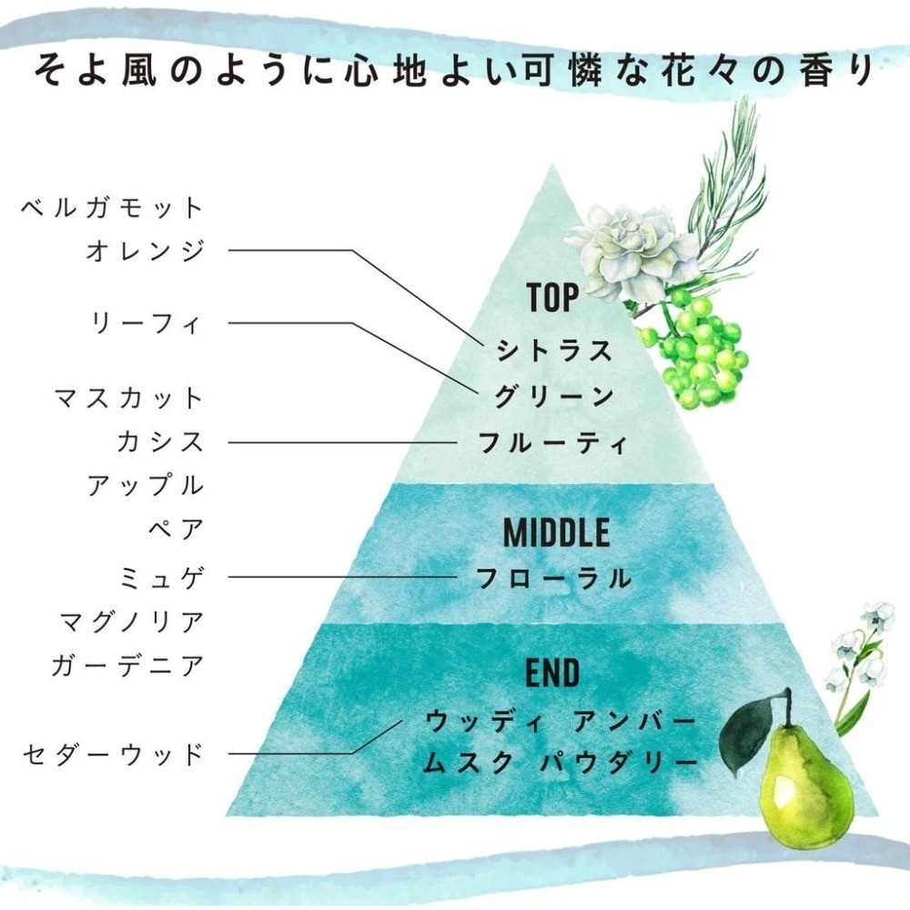 日本  KOSE 高絲 Je laime 爵戀 膠原蛋白修護 美容液 無矽靈 胺基酸洗髮精/潤髮乳 480ml-細節圖8