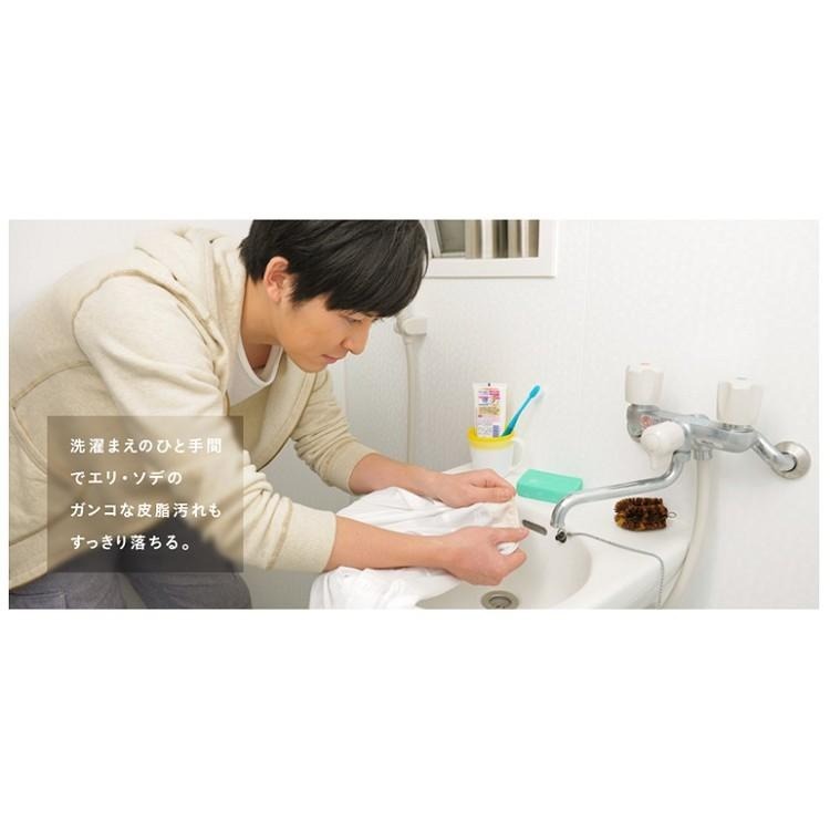 日本 LION 獅王 領口 袖口 專用 重點去污 清潔劑 250ml-細節圖6