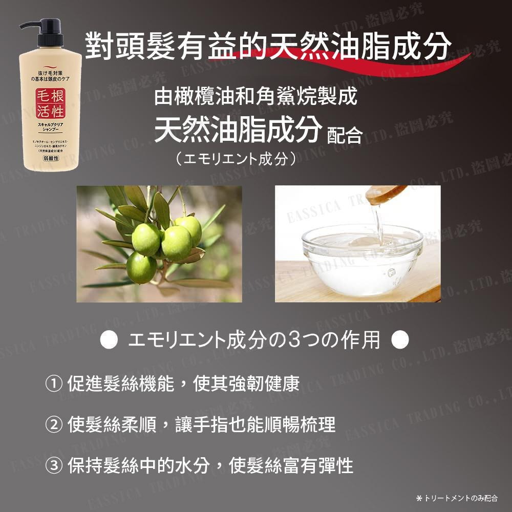 日本 JUNYAKU純藥馬油株式會社 毛根活性健康頭皮洗髮精 550ml-細節圖6