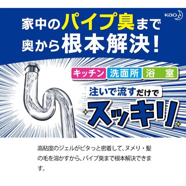 日本 Kao 花王 Haiter 排水管清潔劑 500g-細節圖2