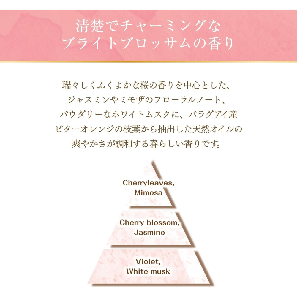 日本 NS FaFa 小熊 香氛 香水 衣物 柔軟精 600ml 多款任選-細節圖6
