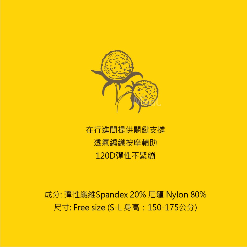 透氣壓力襪機能彈性 台灣製造 彈性襪 膚色 美腿襪 健康機能襪 靜脈曲張 美腿襪 健康護理 MEAL 鐥裝-細節圖8