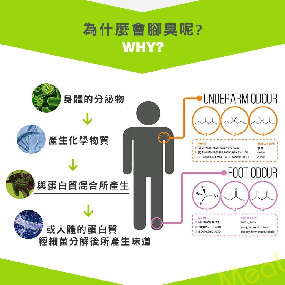 瑪榭 防護機能足弓除臭運動襪 MIT台灣製 男襪/女襪/運動襪/除臭襪/船型襪-細節圖3