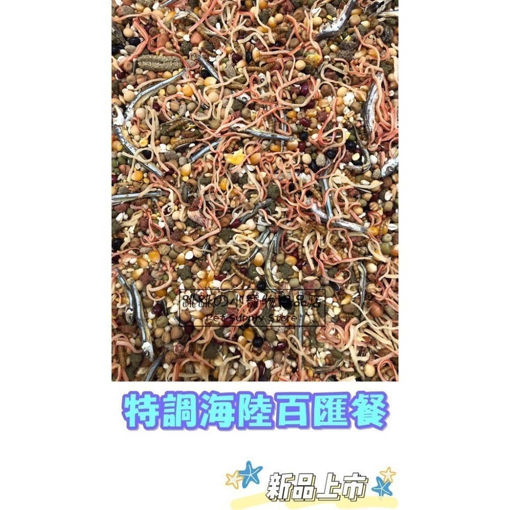 【跳跳】⚡精選特調穀物餐⚡ 特調穀物飼料 倉鼠主食 鼠類主食 鼠飼料 全鼠類主食 倉鼠糧 鼠用主食飼料 寵物鼠糧-細節圖6