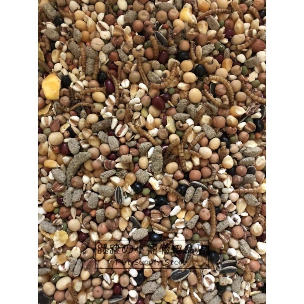 【跳跳】⚡精選特調穀物餐⚡ 特調穀物飼料 倉鼠主食 鼠類主食 鼠飼料 全鼠類主食 倉鼠糧 鼠用主食飼料 寵物鼠糧-規格圖9